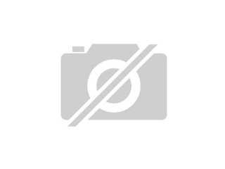 Suche Reitbeteiligung / Pflegepferd in Chemnitz